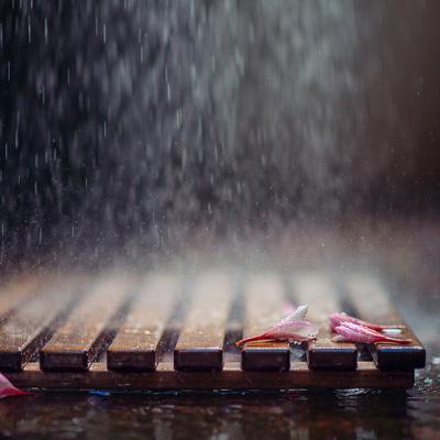 绝世武林果盘版下载